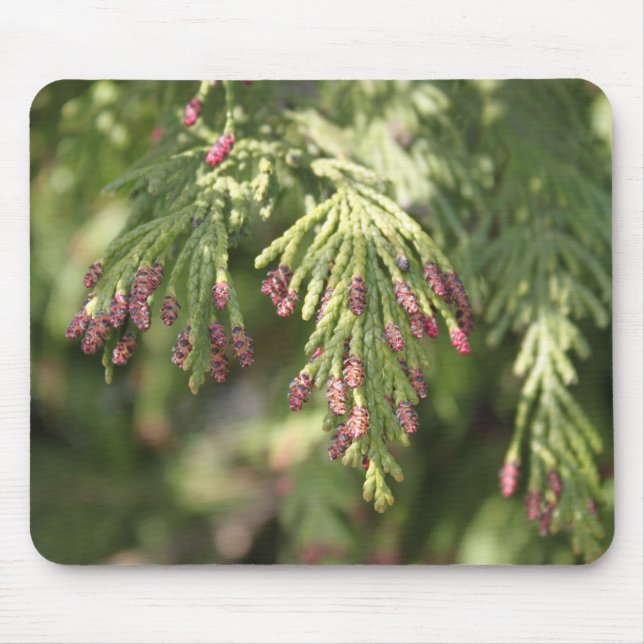 cypress pink  flowering mouse pad (Front)