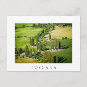 Cypress route sinueuse en Toscane carte postale bl