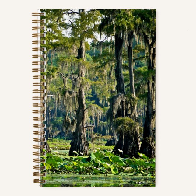 Cypress Sketch Book - 001 (Front)