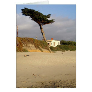 Cypress soufflé et maison