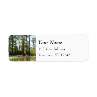 Cypress Swamp Landscape