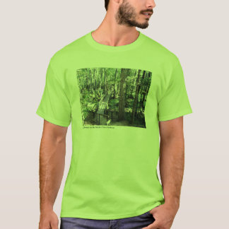 Cypress Swamp on the Natchez Trace Parkway T-Shirt