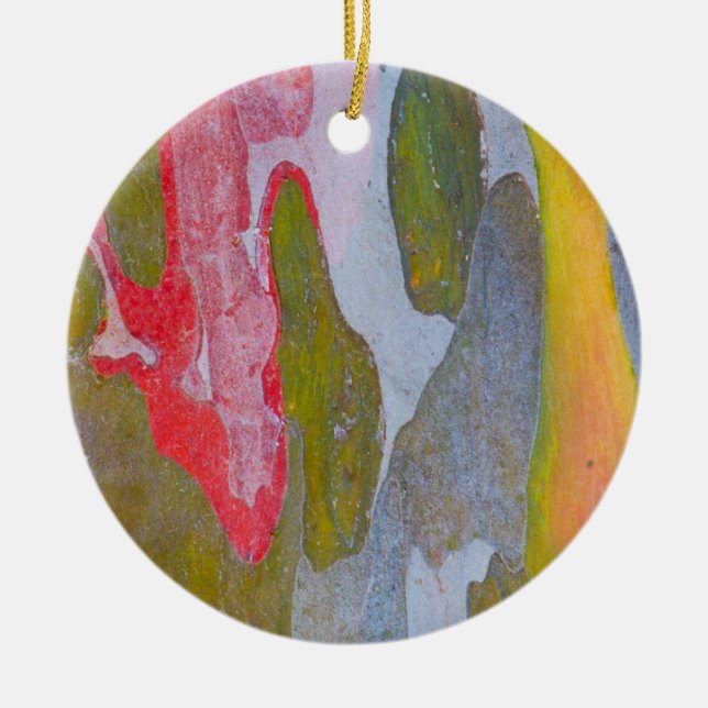 Cypress tree bark patterns, Italy Ceramic Ornament (Front)