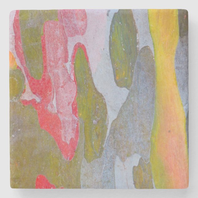 Cypress tree bark patterns, Italy Stone Coaster (Front)