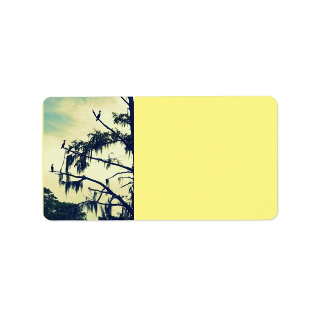 Cypress Tree Birds Return Address Labels (Front)