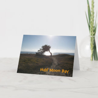 Cypress Tree Card