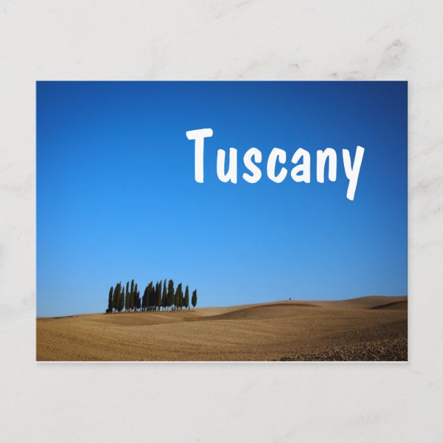 Cypress trees and hills with Tuscany text postcard (Front)