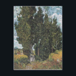 Cypress Trees by Van Gogh Postcard<br><div class="desc">Vincent Van Gogh Landscape Painting Series - Cypress Trees</div>
