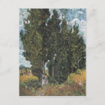 Cypress Trees by Van Gogh Postcard<br><div class="desc">Vincent Van Gogh Landscape Painting Series - Cypress Trees</div>