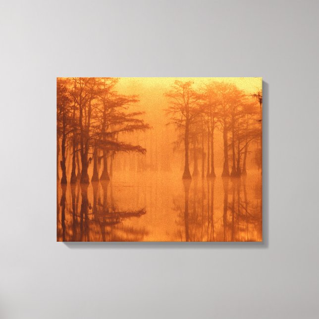 Cypress Trees George Smith State Park Canvas Print (Front)
