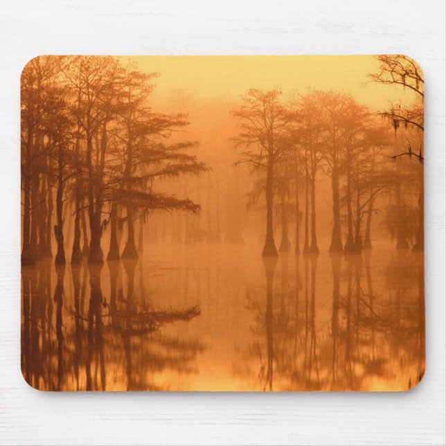 Cypress Trees George Smith State Park Mouse Pad (Front)