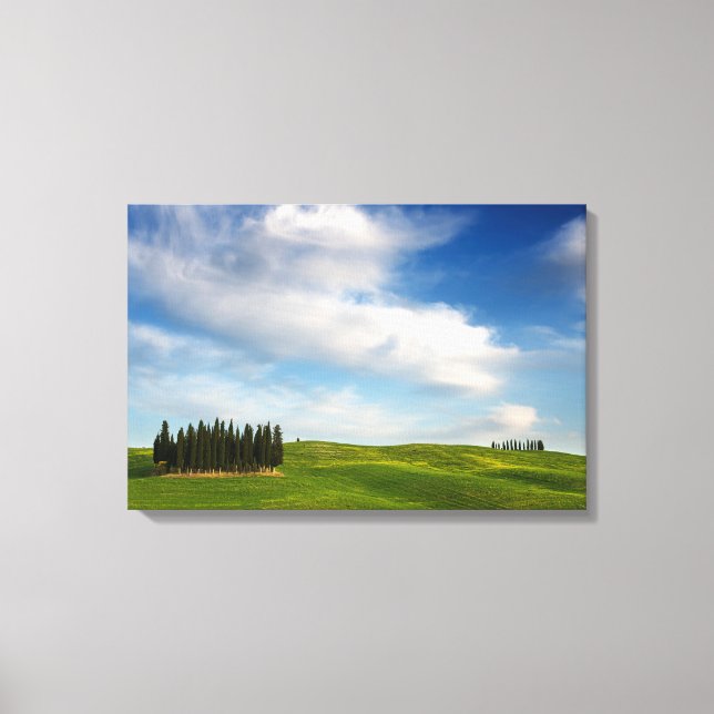 Cypress trees in Tuscany canvas Print (Front)