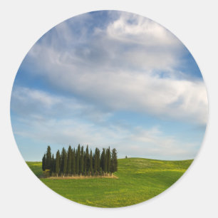Cypress trees in Tuscany round sticker