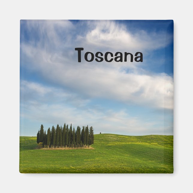 Cypress trees in Tuscany text magnet (Front)