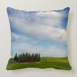 Cypress trees in Tuscany throw pillow