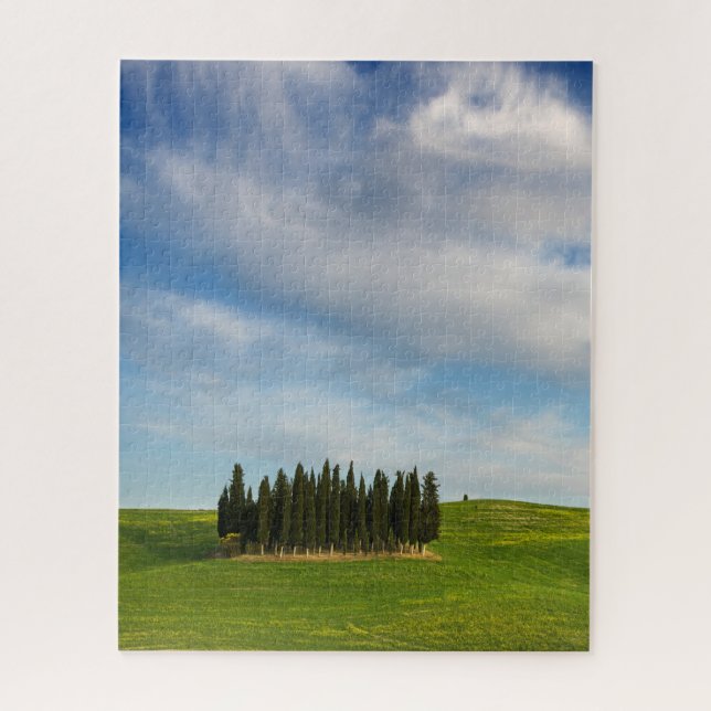 Cypress trees in Tuscany vertical Jigsaw Puzzle (Vertical)
