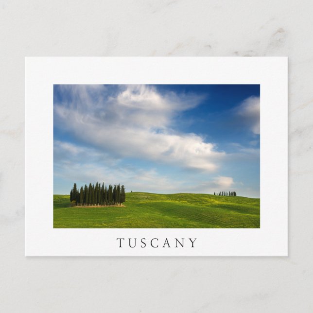 Cypress trees in Tuscany white postcard (Front)
