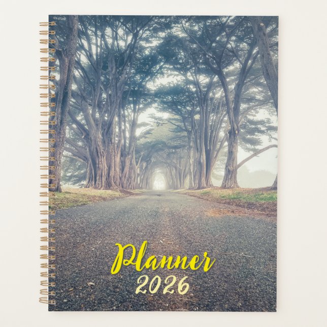 Cypress Tunnel Landscape (Devant)