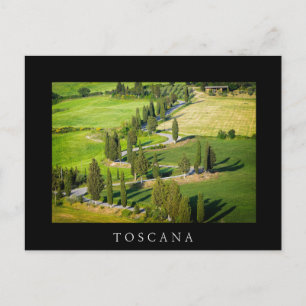 Cypress winding road in Tuscany black postcard
