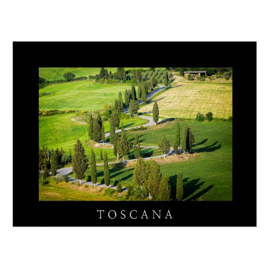 Cypress winding road in Tuscany black postcard