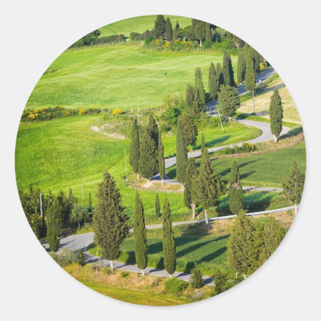 Cypress winding road in Tuscany round sticker (Front)