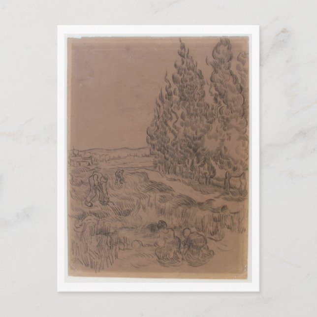 Cypresses Four People Working, Van Gogh Fine Art Postcard (Front)