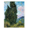 Cypresses, Vincent van Gogh Fine Art