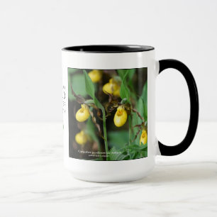 Cypripedium parviflorum, yellow lady's-slipper mug