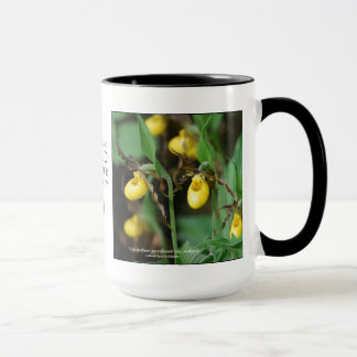 Cypripedium parviflorum, yellow lady's-slipper mug