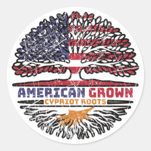 Cyprus Cypriot Cypriote US American USA United Classic Round Sticker
