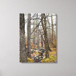 Cyprus nature landscape Troodos forest brown trees Canvas Print