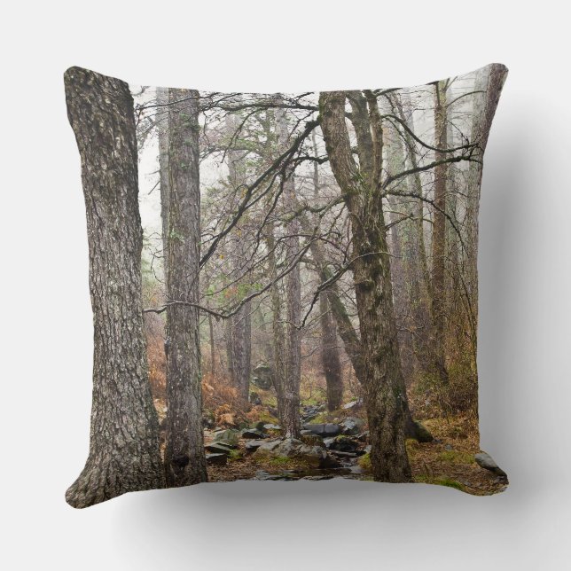Cyprus nature landscape Troodos forest brown trees Throw Pillow (Back)