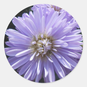 Cyrene Classic Round Sticker