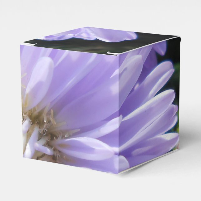 Cyrene Favor Box (Front Side)