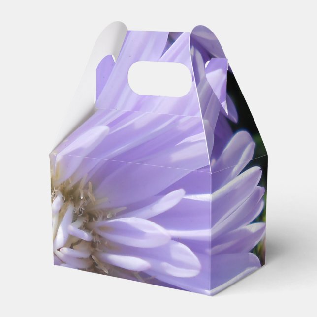 Cyrene Favor Box (Front Side)