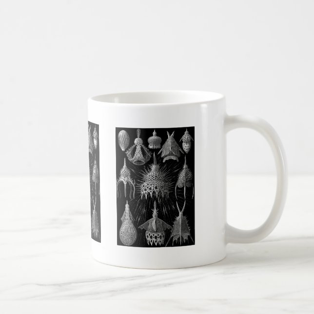 Cyrtoidea Coffee Mug (Right)