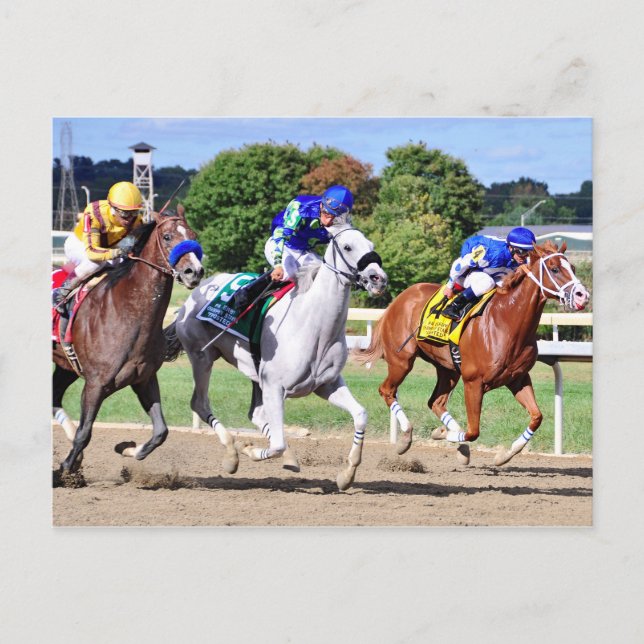 Cyrus Alexander, Mr.Jordan & Res Judicata Postcard (Front)