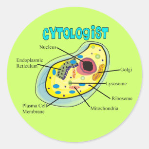 Cytologist Human Cell Drawing Gifts Classic Round Sticker