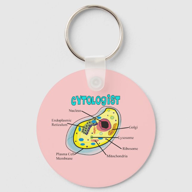 Cytologist Human Cell Drawing Gifts Keychain (Front)
