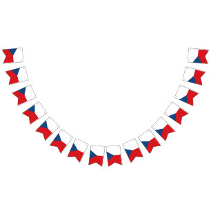 Czech Republic Flag