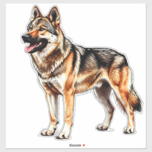 Czechoslovakian Wolfdog Dog