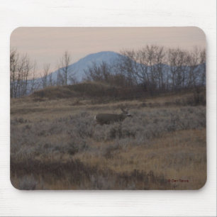 D12 Mule Deer Buck and Sweet Grass Hills Mouse Pad