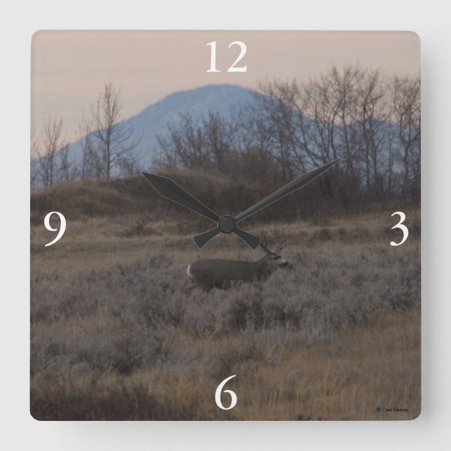 D12 Mule Deer Buck and Sweet Grass Hills Square Wall Clock (Front)