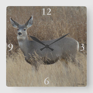 D14 Mule Deer Doe Square Wall Clock