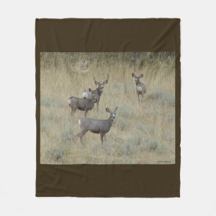 D18 Mule Deer Fleece Blanket