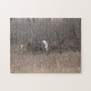 D1 White-tailed Deer Spring Bucks Jigsaw Puzzle