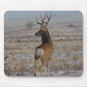 D20 Mule Deer Buck in Snow Mouse Pad
