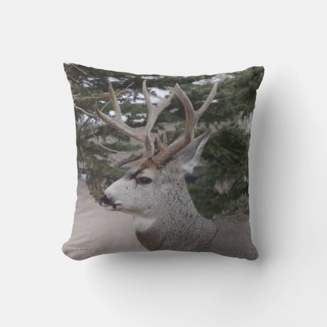 D25 Mule Deer Buck Throw Pillow (Front)
