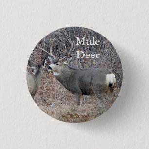 D29 Mule Deer 1 Inch Round Button