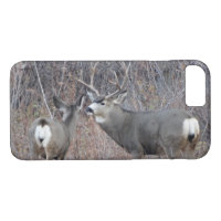 D29 Mule Deer Buck and Doe